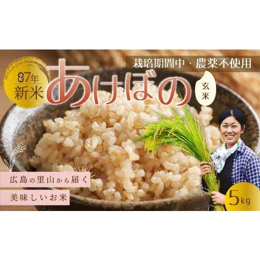 ふるさと納税 米 広島県 三原市 [令和7年新米]広島の里山から届く新米「あけぼの」玄米5kg 栽培期間中農薬不使用 米 お米 おすすめ 157005