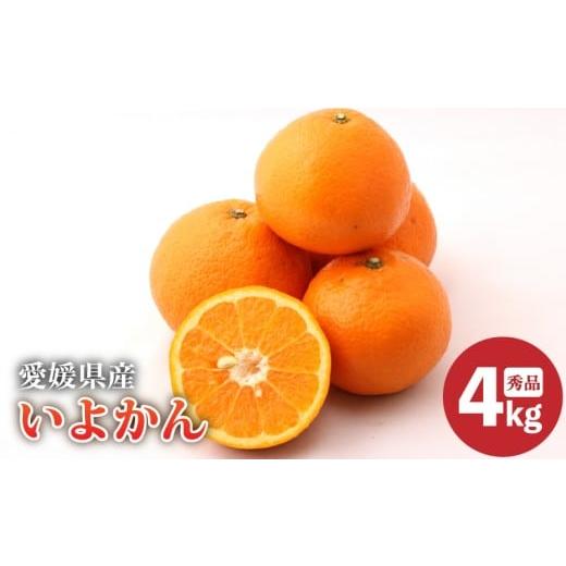 ふるさと納税 果物類 みかん 愛媛県 松山市 2026年2月上旬より発送 愛媛県産 伊予柑 秀品 約4kg | いよかん イヨカン iyokan みかん ギフト 贈り物 蜜柑 柑橘…