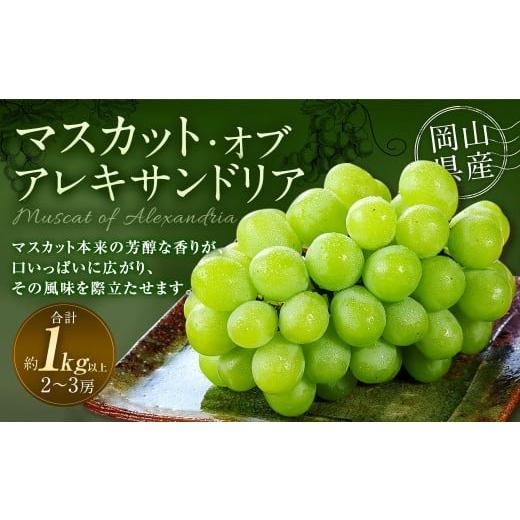 ふるさと納税 ぶどう マスカット 岡山県 奈義町 マスカット・オブ・アレキサンドリア 2〜3房 (合計1.0kg以上) 2026年8月下旬〜9月下旬 発送予定 マスカット …