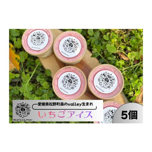 ふるさと納税 菓子 アイス 愛媛県 松野町 いちごアイス5個 森の国valley生まれmoriamu 厳選素材で作る贅沢デザート | いちご 苺 スイーツ デザート アイスク…