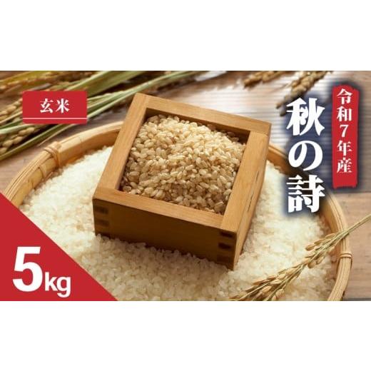 ふるさと納税 玄米 滋賀県 日野町 令和7年産 新米 5kg 秋の詩 玄米 米 2025年産 あきのうた 国産 滋賀県 日野町 農家直送 お米 精米 おこめ こめ 産地直送 ふ…