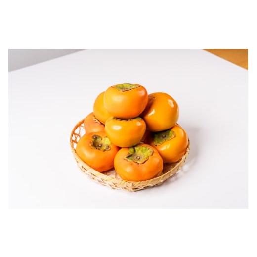 ふるさと納税 果物類 柿 岐阜県 本巣市 2025年11中旬〜発送 令和7年産 富有柿 Lサイズ 14個入り 秋冬フルーツ 旬の果物 くだもの ふるーつ フルーツ おまかせ…