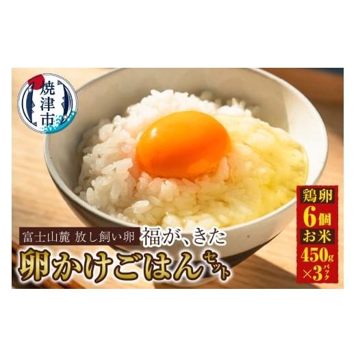 ふるさと納税 米 コシヒカリ 静岡県 焼津市 a11-163 福が、きた 卵かけごはん セット