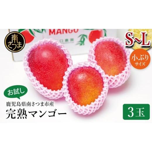 ふるさと納税 マンゴー 鹿児島県 南さつま市 数量・期間限定 鹿児島県産 完熟マンゴー S〜Lサイズ 3玉 2026年 先行受付 お試しにぴったり ご家庭用 アップル…