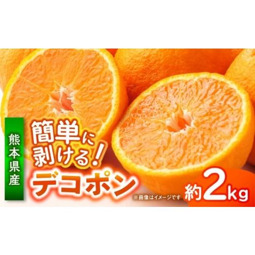 ふるさと納税 みかん・柑橘類 デコポン 熊本県 山鹿市 先行予約 デコポン 約2kg 柑橘 みかん 蜜柑 熊本 フルーツ 果物 日本フルーツ株式会社
