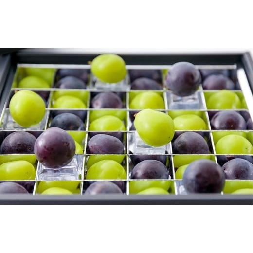 ふるさと納税 果物類 ぶどう 岡山県 倉敷市 ぶどうの宝石箱(シャインマスカットとニューピオーネ又はオーロラブラック)36粒(1粒14g以上)1箱 贈答用 ぶどう…