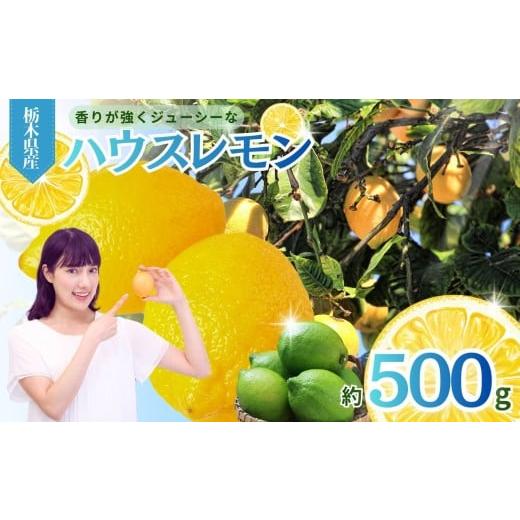 ふるさと納税 果物類 栃木県 真岡市 500g 真岡市産 ハウス レモン | れもん グリーン 酸味 香り 強い イエロー 糖度 高い 果汁 ノーワックス 防腐剤 防カビ…