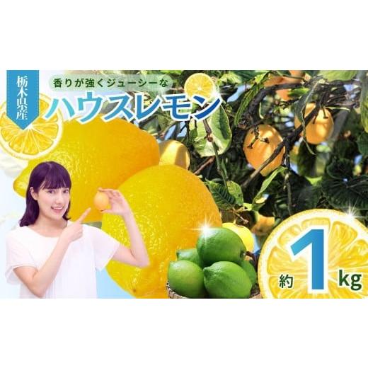 ふるさと納税 果物類 栃木県 真岡市 1kg 真岡市産 ハウス レモン | れもん グリーン 酸味 香り 強い イエロー 糖度 高い 果汁 ノーワックス 防腐剤 防カビ剤…