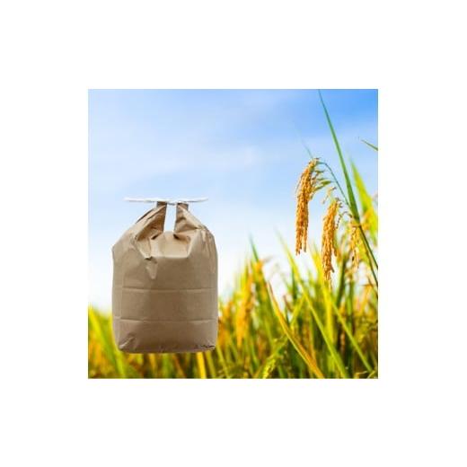 ふるさと納税 米 秋田県 湯沢市 令和7年産 あきたこまち 白米 5kg 秋田県産 湯沢市産 新米 お米 白米 国産 ご飯 BARUバイオジャパン吉村