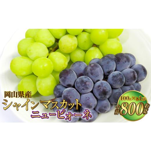 ふるさと納税 果物類 ぶどう 岡山県 奈義町 岡山県産 シャインマスカット「晴王」とニューピオーネ Lサイズ 計約800g 2026年8月下旬〜9月下旬迄発送予定 くだ…