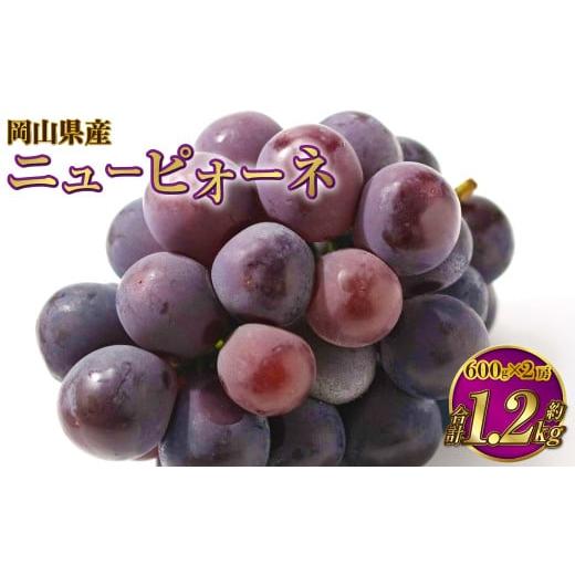 ふるさと納税 果物類 ぶどう 岡山県 奈義町 岡山県産 ニューピオーネ 約1.2kg(600g×2房) 2026年8月下旬〜9月下旬迄発送予定 果物 くだもの フルーツ ぶどう…