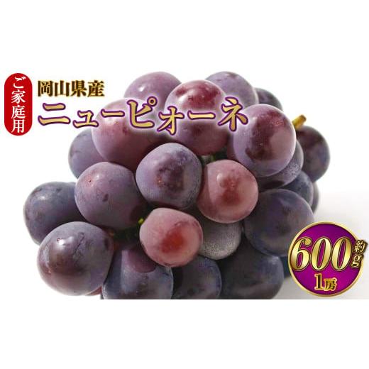 ふるさと納税 果物類 ぶどう 岡山県 奈義町 ご家庭用 岡山県産 ニューピオーネ 約600g(600g×1房) 2026年8月下旬〜9月下旬迄発送予定 果物 くだもの フルー…