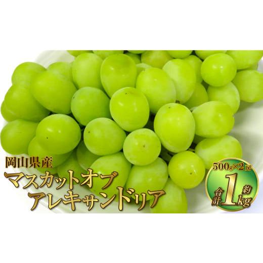 ふるさと納税 ぶどう マスカット 岡山県 奈義町 岡山県産 マスカットオブアレキサンドリア 約1kg(500g×2房) 2026年8月下旬〜9月下旬迄発送予定 果物 くだも…