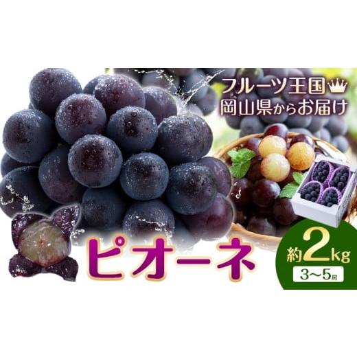 ふるさと納税 果物類 ぶどう 岡山県 浅口市 2026年先行予約 ぶどう ピオーネ 約2kg 3房~5房 もりおか農園[2026年9月上旬-10月上旬頃出荷]岡山県 浅口市 送…