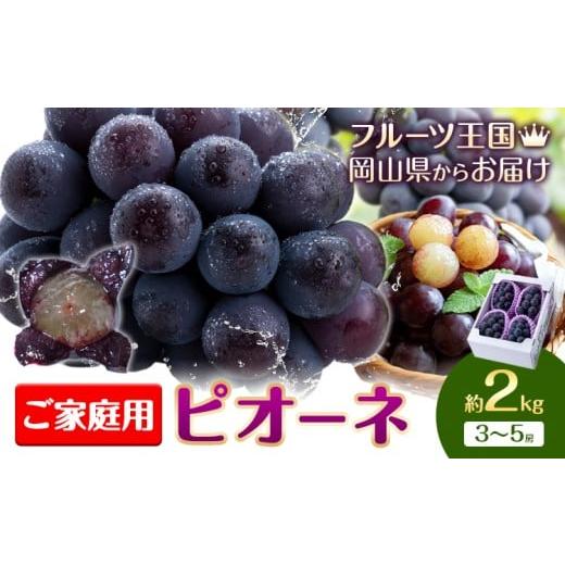 ふるさと納税 果物類 ぶどう 岡山県 浅口市 2026年先行予約 ぶどう ご家庭用 ピオーネ 約2kg 3房~5房 もりおか農園[2026年9月上旬-10月上旬頃出荷]岡山県 …