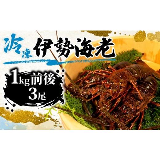 ふるさと納税 旬の鮮魚等 三重県 志摩市 冷凍 伊勢海老 約 1kg 3尾 海老 えび エビ いせえび 志摩 天然 刺身 BBQ バーベキュー 味噌汁 海鮮 魚介 新鮮 のし 熨…