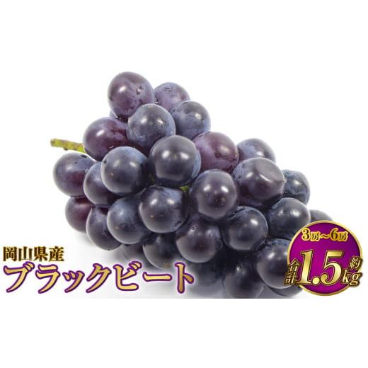 ふるさと納税 果物類 ぶどう 岡山県 奈義町 岡山県産 ブラックビート 約1.5kg(3房〜6房) 2026年8月上旬〜9月上旬発送予定 ぶどう ブドウ 葡萄