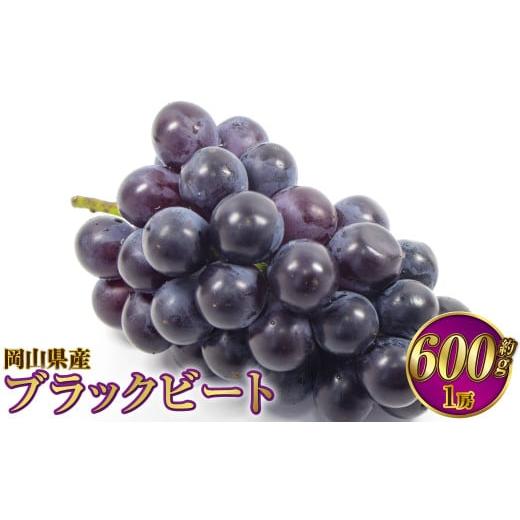 ふるさと納税 果物類 ぶどう 岡山県 奈義町 岡山県産 ブラックビート 約600g(1房) 2026年8月上旬〜9月上旬発送予定 ぶどう ブドウ 葡萄