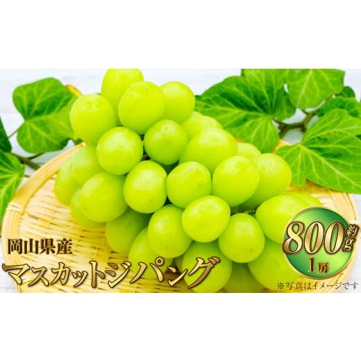ふるさと納税 ぶどう マスカット 岡山県 奈義町 岡山県産 マスカットジパング 約800g(1房) 2026年7月下旬〜8月下旬発送予定 マスカット ぶどう ブドウ 葡萄