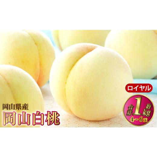 ふるさと納税 もも 岡山県 奈義町 岡山白桃 ロイヤル 4〜6玉 約1kg 岡山県産 2026年7月上旬〜8月下旬発送予定 白桃 桃 もも モモ