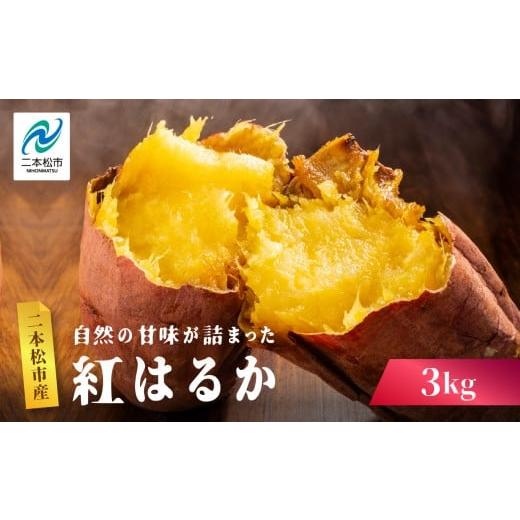 ふるさと納税 野菜類 サツマイモ 福島県 二本松市 自然の甘みがぎゅっと詰まった さつまいも 紅はるか 3kg 焼き芋 スイーツ 冷凍 やきいも 野菜 サツマイモ 農…