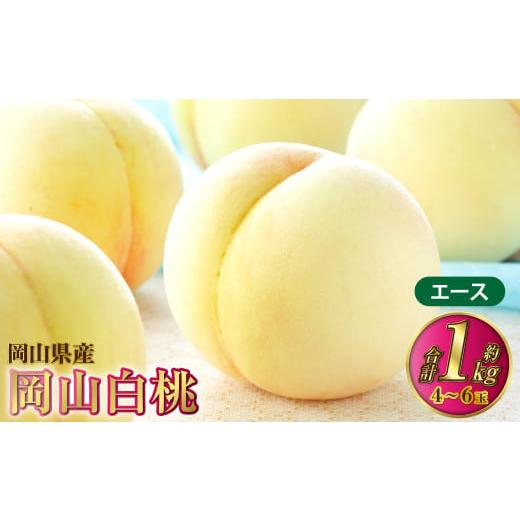 ふるさと納税 もも 岡山県 奈義町 岡山白桃 エース 4〜6玉 約1kg 岡山県産 2026年7月上旬〜8月下旬発送予定 白桃 桃 もも モモ
