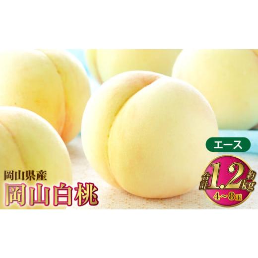 ふるさと納税 もも 岡山県 奈義町 岡山白桃 エース 4〜8玉 約1.2kg 岡山県産 2026年7月上旬〜8月下旬発送予定 白桃 桃 もも モモ
