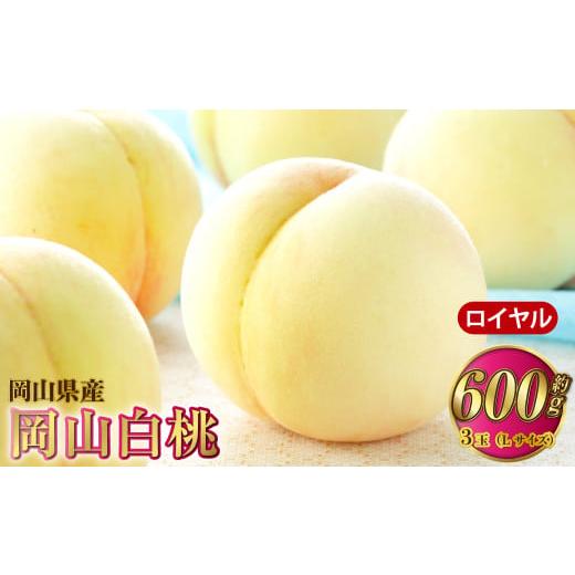 ふるさと納税 もも 岡山県 奈義町 岡山白桃 ロイヤル 3玉×約200g(Lサイズ) 計約600g 岡山県産 2026年7月上旬〜8月下旬発送予定 白桃 桃 もも モモ