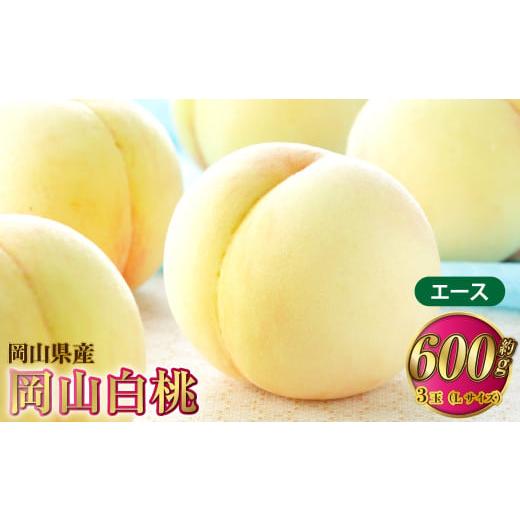 ふるさと納税 もも 岡山県 奈義町 岡山白桃 エース 3玉×約200g(Lサイズ) 計約600g 岡山県産 2026年7月上旬〜8月下旬発送予定 白桃 桃 もも モモ