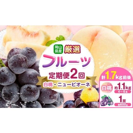 ふるさと納税 果物類 ぶどう 岡山県 浅口市 岡山県産 厳選 フルーツ 定期便 2回 白桃 ニューピオーネ 計1.7kg前後 株式会社藍[2026年7月上旬-9月末頃出荷] …