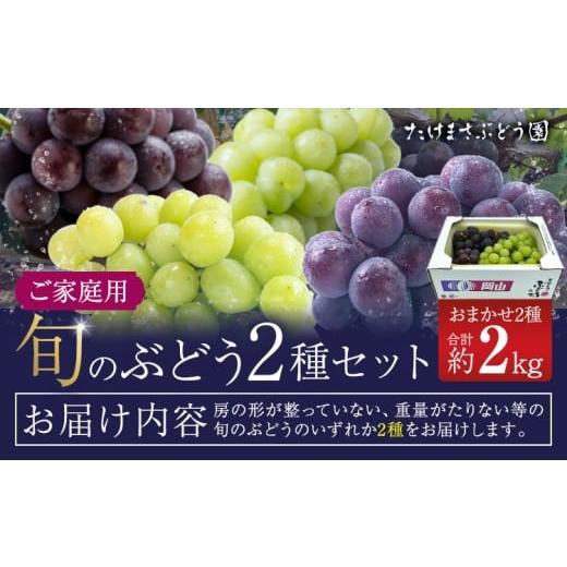 ふるさと納税 果物類 ぶどう 岡山県 浅口市 2026年先行予約 ぶどう ご家庭用 旬 の ぶどう 2種セット おまかせ2種 合計約2kg たけまさぶどう園 [2026年8月中…