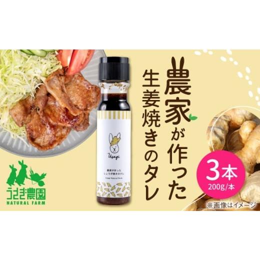 ふるさと納税 調味料・油 たれ 熊本県 合志市 農家が作った生姜焼きのタレ 3本セット ギフトボックス入り うさぎ農園