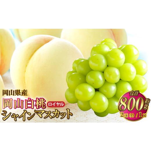 ふるさと納税 もも 岡山県 奈義町 岡山県産 岡山白桃 ロイヤル Lサイズ 約200g×2玉・シャインマスカット 晴王 約400g×1房 詰合せ 2026年7月上旬〜8月下旬発…