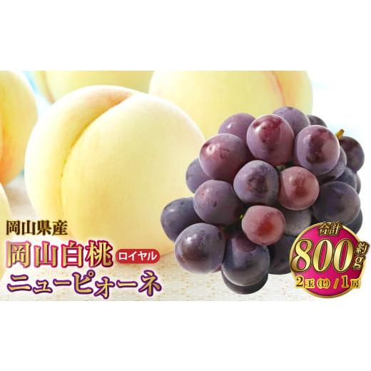 ふるさと納税 もも 岡山県 奈義町 岡山県産 岡山白桃 ロイヤル Lサイズ 約200g×2玉・ニューピオーネ 約400g×1房 詰合せ 2026年7月上旬〜8月下旬発送予定 白…