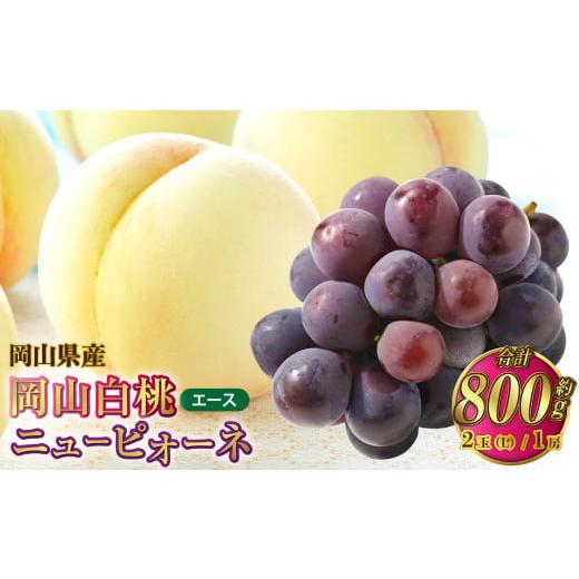 ふるさと納税 もも 岡山県 奈義町 岡山県産 岡山白桃 エース Lサイズ 約200g×2玉・ニューピオーネ 約400g×1房 詰合せ 2026年7月上旬〜8月下旬発送予定 白桃 …