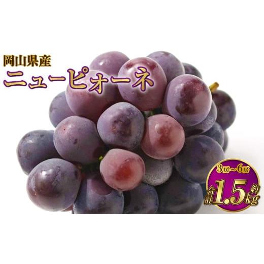 ふるさと納税 果物類 ぶどう 岡山県 奈義町 岡山県産 ニューピオーネ 約1.5kg(3房〜6房) 2026年6月下旬〜7月下旬発送予定 ピオーネ ぶどう 葡萄 ブドウ 種な…