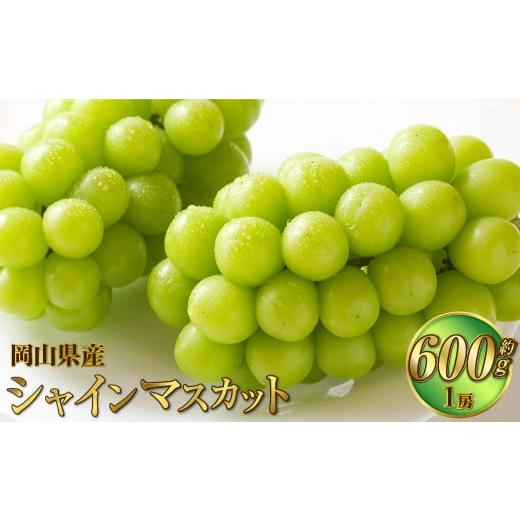 ふるさと納税 ぶどう マスカット 岡山県 奈義町 岡山県産 シャインマスカット 晴王 約600g(1房) 果物 フルーツ くだもの ぶどう ブドウ 葡萄 マスカット 種…