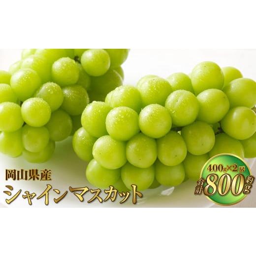 ふるさと納税 ぶどう マスカット 岡山県 奈義町 岡山県産 シャインマスカット 晴王 約800g(約400g×2房) 果物 フルーツ くだもの ぶどう ブドウ 葡萄 マスカ…