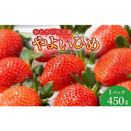 ふるさと納税 いちご 群馬県 伊勢崎市 かとういちご園のやよいひめデラックスパック 1パック入り 沖縄・離島への配送不可 2026年1月下旬〜3月下旬頃に順次発…