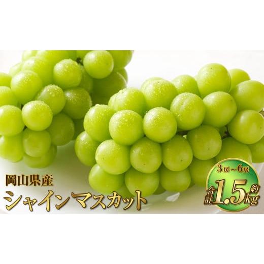 ふるさと納税 ぶどう マスカット 岡山県 奈義町 岡山県産 シャインマスカット 晴王 約1.5kg(3房〜6房) 果物 フルーツ くだもの ぶどう ブドウ 葡萄 マスカッ…