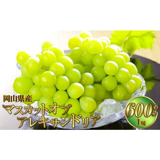 ふるさと納税 ぶどう マスカット 岡山県 奈義町 岡山県産 マスカット・オブ・アレキサンドリア 約600g(1房) 果物 フルーツ くだもの ぶどう ブドウ 葡萄 マ…