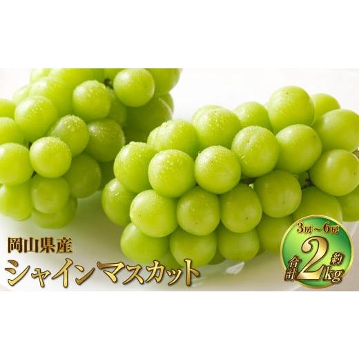 ふるさと納税 ぶどう マスカット 岡山県 奈義町 岡山県産 シャインマスカット 晴王 約2kg(3房〜6房) 果物 フルーツ くだもの ぶどう ブドウ 葡萄 マスカット…