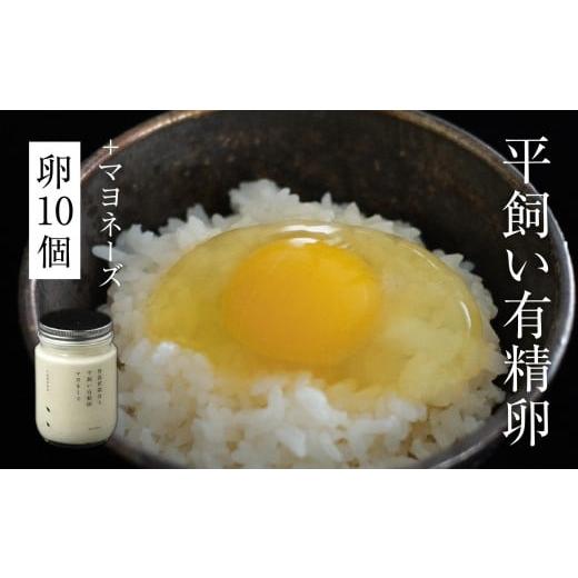 ふるさと納税 卵(鶏、烏骨鶏等) 岡山県 西粟倉村 平飼い有精卵 10個+オリジナルマヨネーズ[西粟倉村] 株式会社点々 t-SS-AlEA