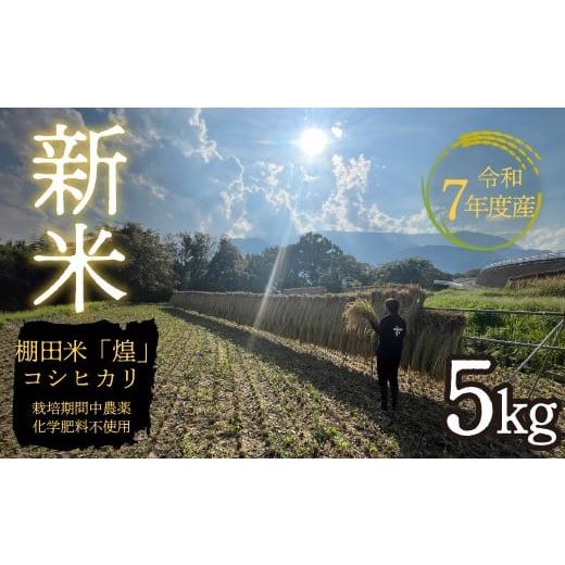 ふるさと納税 米 コシヒカリ 山梨県 南アルプス市 令和7年産新米 天日干し自然乾燥米5kg(玄米の希望も可) ALPFO001 令和7年産新米 天日干し自然乾燥米5kg(…