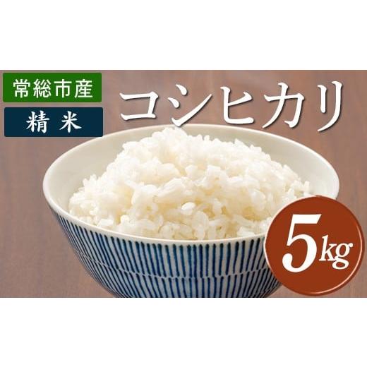 ふるさと納税 米 コシヒカリ 茨城県 常総市 令和7年産 コシヒカリ5kg 精米 常総市産
