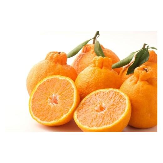 ふるさと納税 みかん・柑橘類 デコポン 熊本県 和水町 先行予約 不知火 約 2kg | 柑橘 みかん フルーツ 和製 家庭用 果物 熊本県産 熊本県 熊本 くまもと 和…