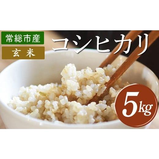 ふるさと納税 玄米 茨城県 常総市 令和7年産 コシヒカリ5kg 玄米 常総市産
