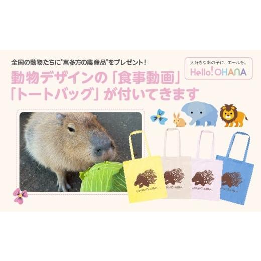 ふるさと納税 イベントやチケット等 福島県 喜多方市 動物推し活サービス 全国の動物たちに"喜多方の農産品"をプレゼント 〜動物デザインの「食事…