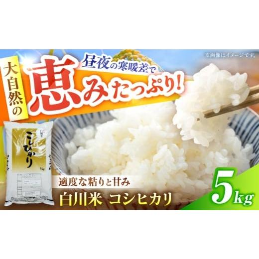 ふるさと納税 米 コシヒカリ 岐阜県 白川町 コシヒカリ 5kg 白川町 / 白川町農業開発