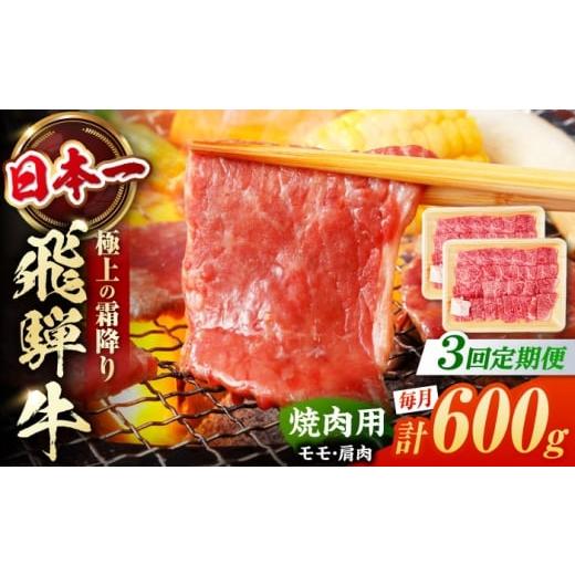 ふるさと納税 牛肉 焼肉・バーベキュー 岐阜県 白川町 3回定期便 飛騨牛 焼肉用 赤身 600g(300g×2)/ 焼肉 牛肉 和牛 定期便 肉 / 白川町 / 浅井商店 AW…